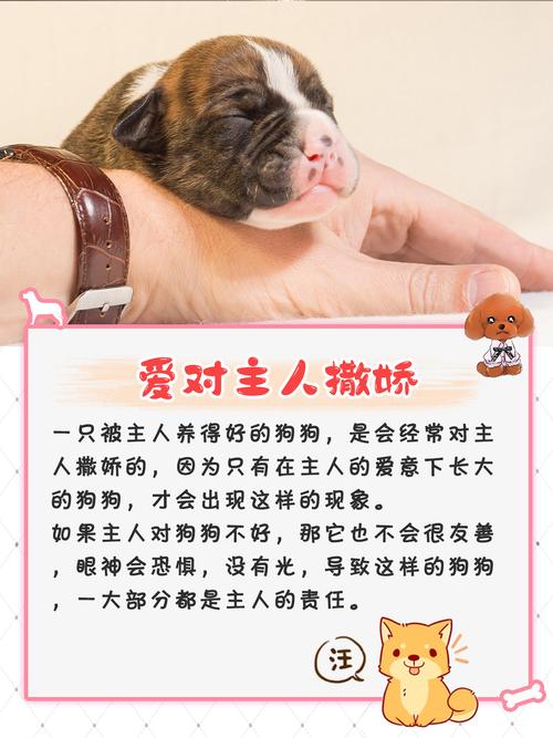 狗睡床上对家里好不好