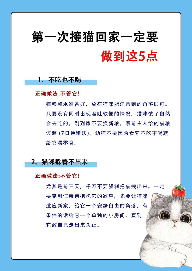 猫搬家不吃不喝不尿躲起来怎么办?