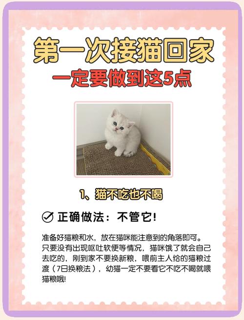 猫咪搬家后食欲不振,猫咪搬新家后食欲下降