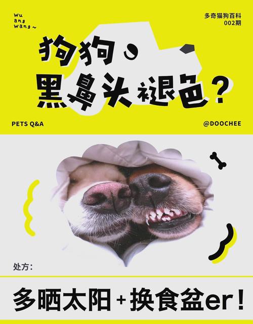 狗狗鼻子褪色还能恢复吗