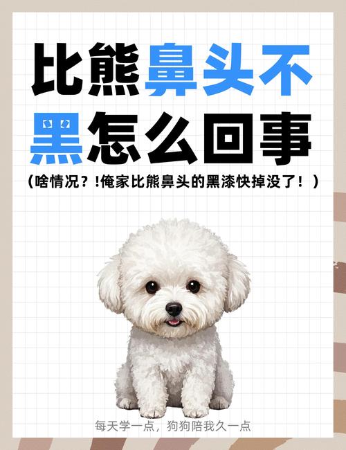 狗狗鼻子褪色怎么恢复