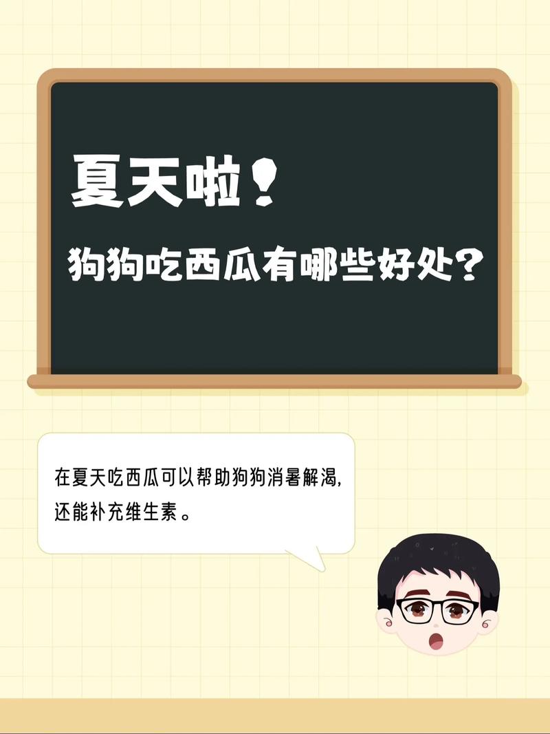 狗狗能吃西瓜吗