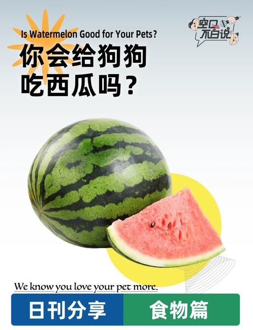 狗狗吃西瓜有没有坏处?