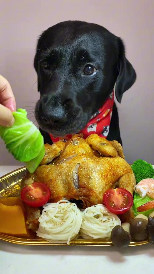 狗可以吃炸鸡吗,求助!