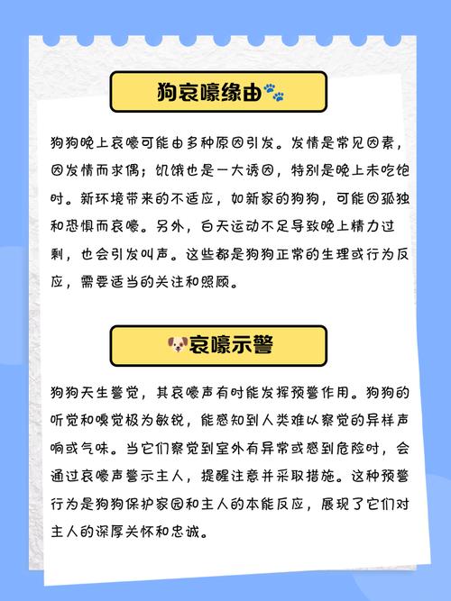 狗狗喜欢在半夜里呜呜叫,怎么办?