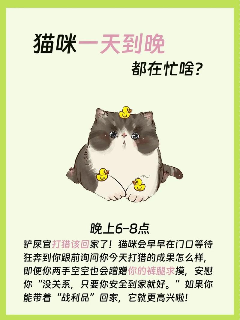 猫咪一整天喵喵喵的对着主人叫,想干啥?