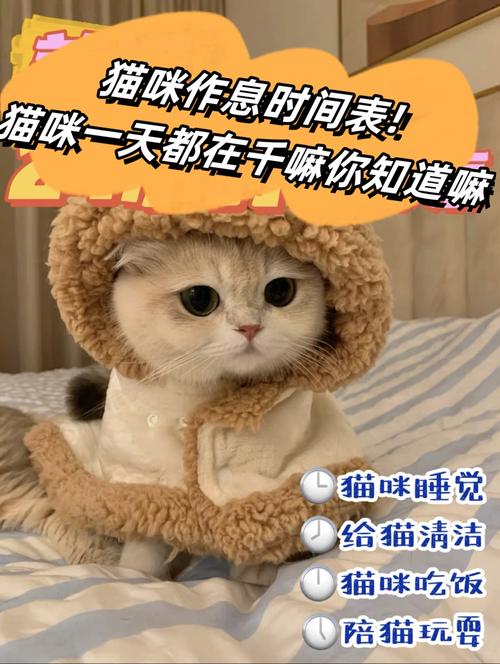 当对着猫喵叫一声,为什么猫也会回一声?