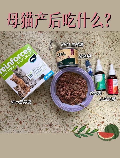 猫咪产后要如何补钙?