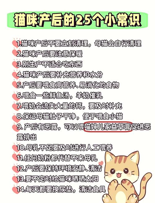 怎么给猫咪补钙