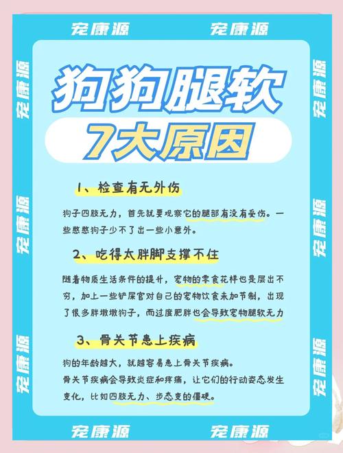 狗狗不愿意走路怎么办?