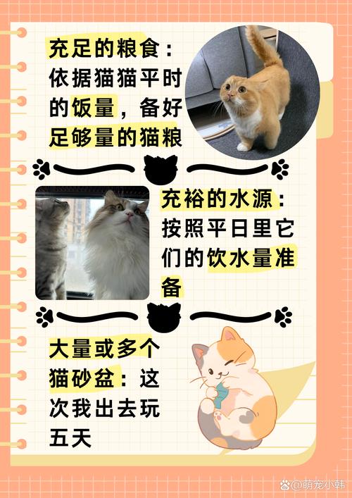 猫咪一个人在家能呆几天