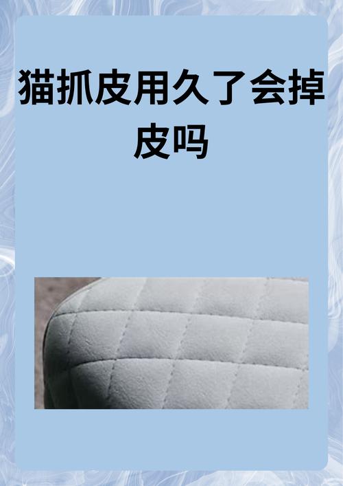 小猫太调皮该怎么管教