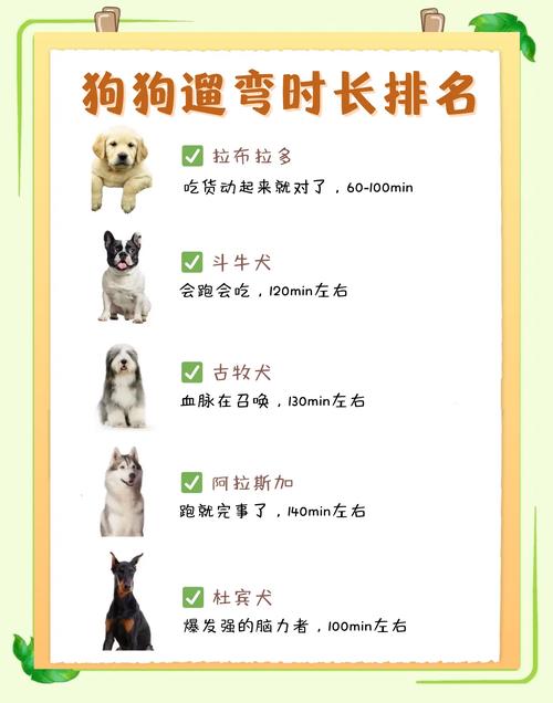 如果给狗狗的活动范围够大,还需要每天都出门遛吗?(小狗每天到底要...