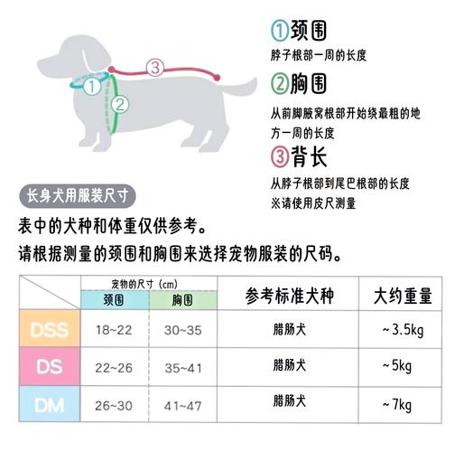 狗狗品种1秒认全|新手必看