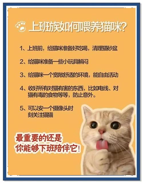 家里没人猫咪要不要放笼子里