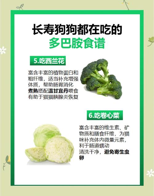 狗狗可以吃寿司吗