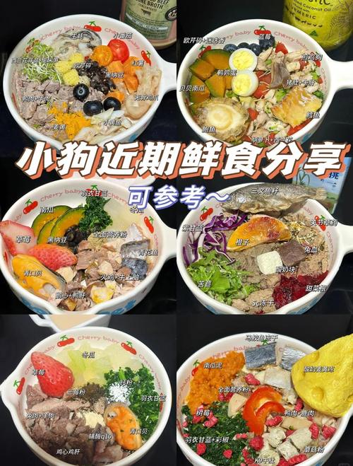 比熊狗如果吃了沙拉酱,(特别少)会怎么样?