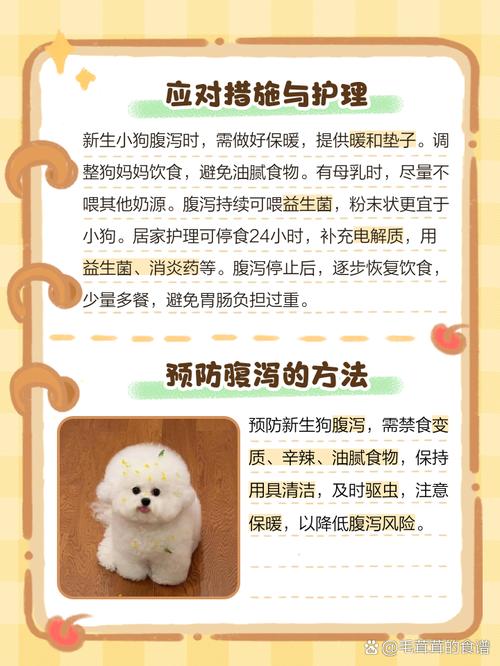 刚出生几天的小狗拉稀正常吗?刚出生的小狗拉稀了怎么办