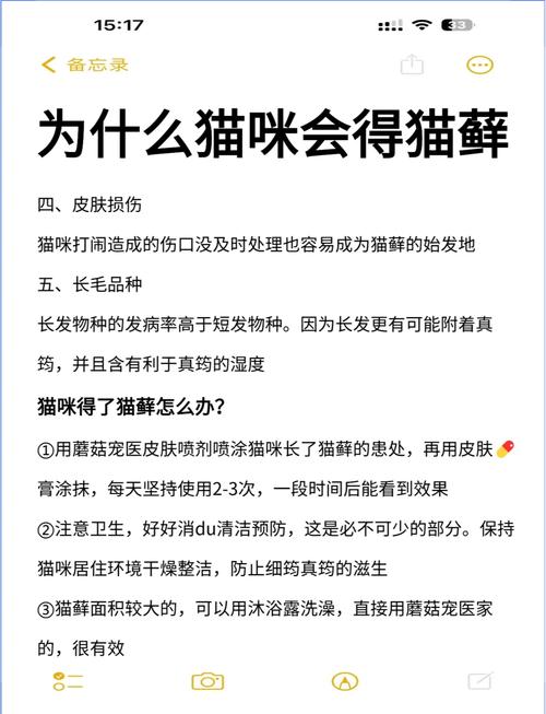 猫咪得了猫癣应该怎么办?