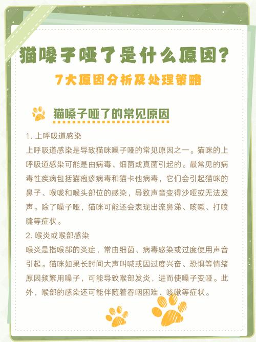 猫咪嗓子哑了怎么回事,多数因为这几个原因