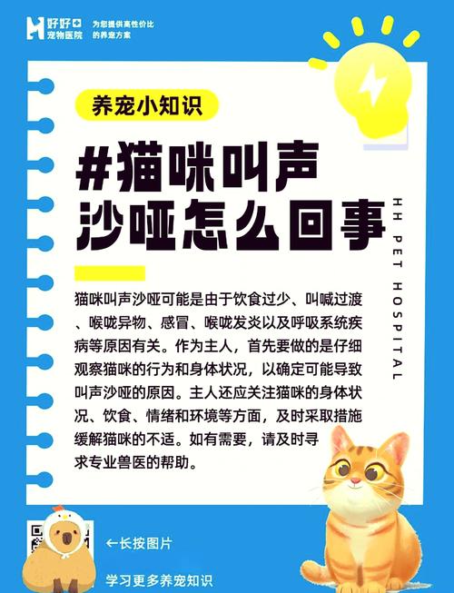 猫咪嗓子哑了吃什么药