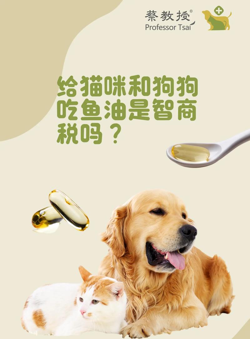 狗狗能吃人的鱼油吗