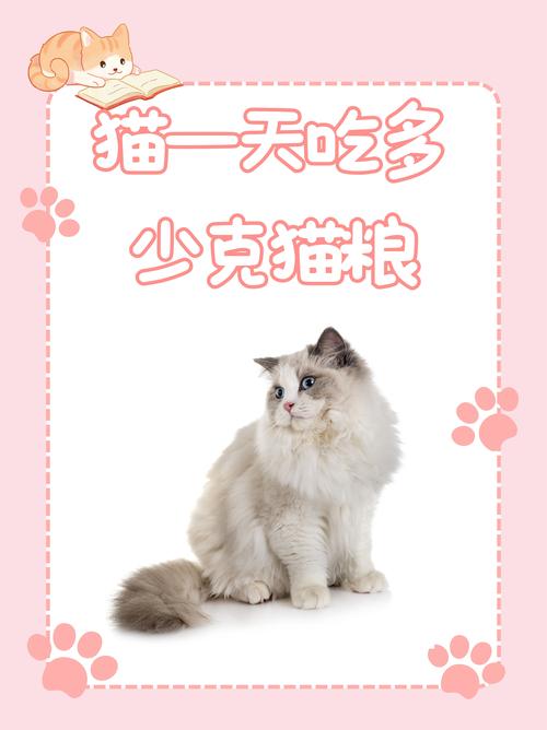 猫咪可以吃史克吗?