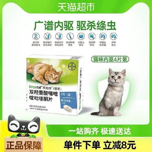 猫咪内驱完吃什么