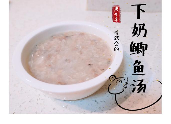 母猫喝的鲫鱼汤怎么做