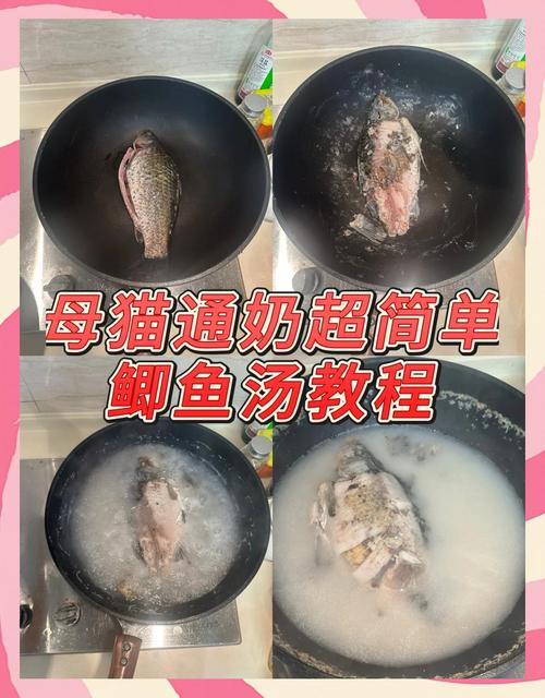 给猫咪做鲫鱼汤的做法?