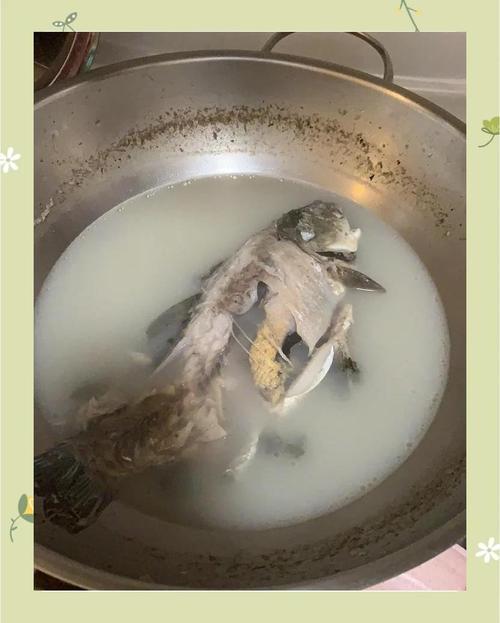 猫咪喝的鱼汤需要油煎吗?