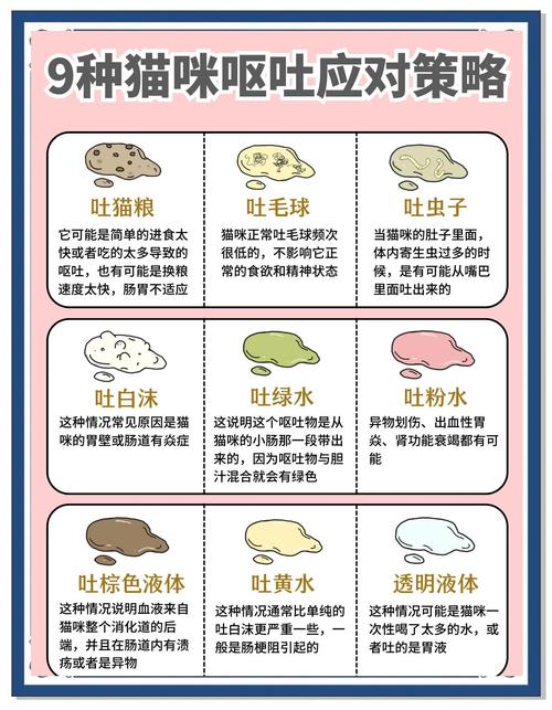 铲屎官们快看猫咪呕吐的6种情况