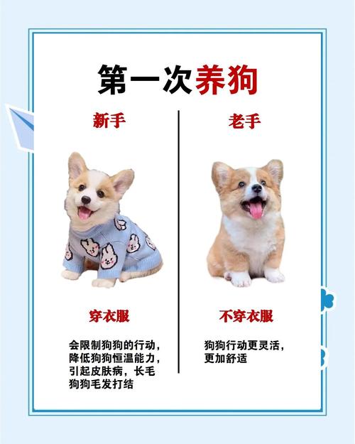 狗狗可以吃什么蔬菜