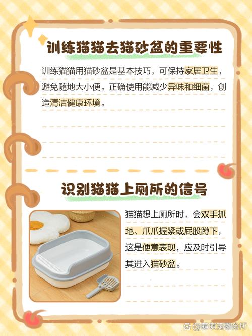 怎么训练猫猫去猫砂盆拉屎