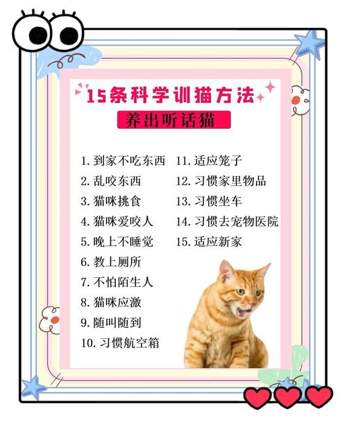 如何训练猫猫定点排尿?
