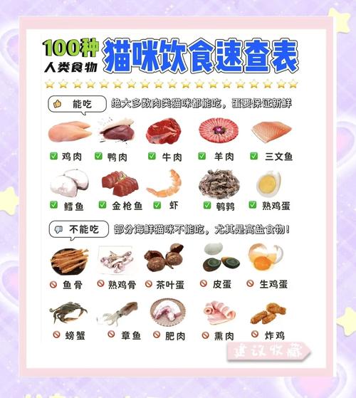 100种猫咪饮食速查表_乱投喂