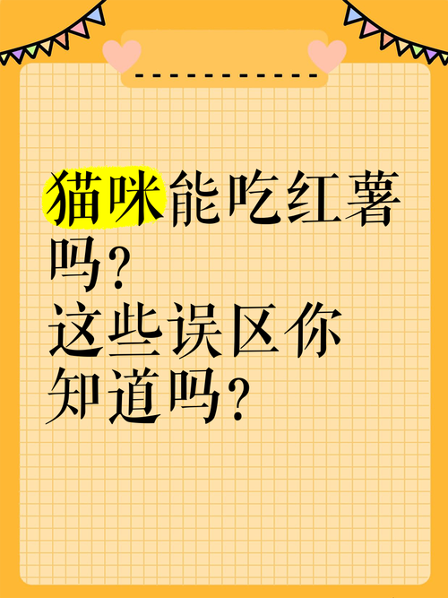 猫咪能吃的几种“人类食物”,只要喂对了,猫咪越吃越健康