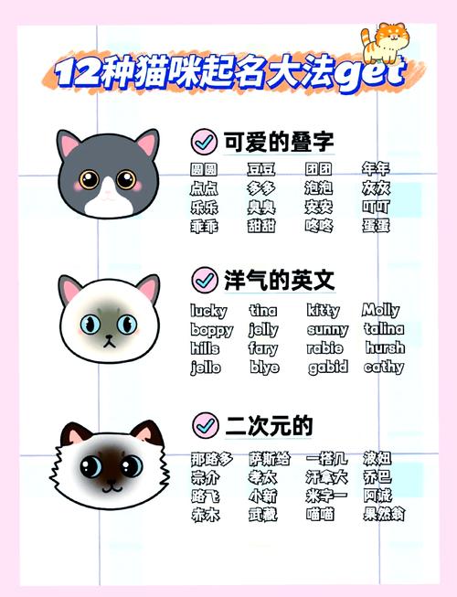 小猫名字大全可爱女猫