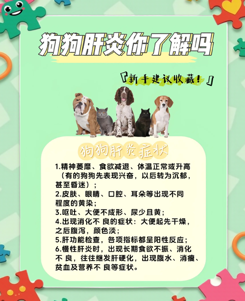 狗狗黄疸肝炎怎么治