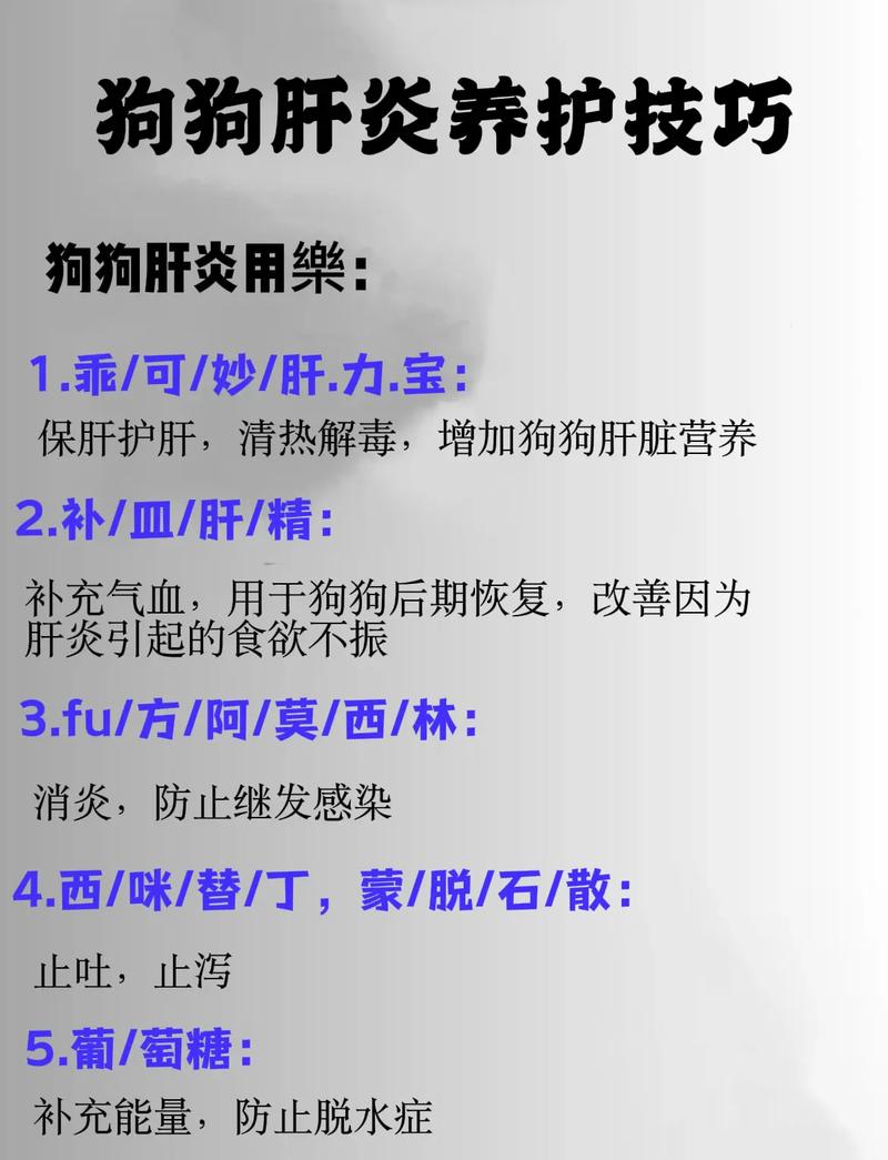 狗狗得了急性急性肝炎吃什么药