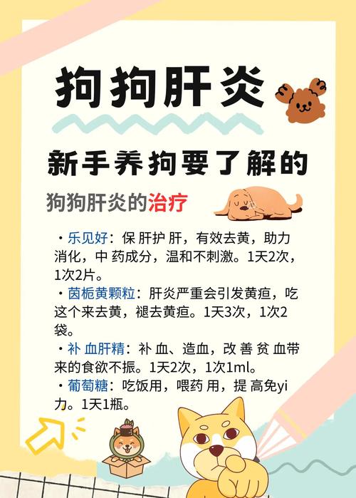 狗狗肝炎的治疗方法