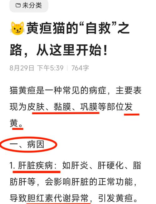 猫咪胆囊炎会引起尿黄