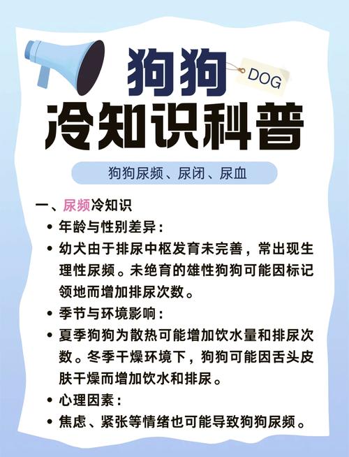 狗喝水多尿多是什么原因