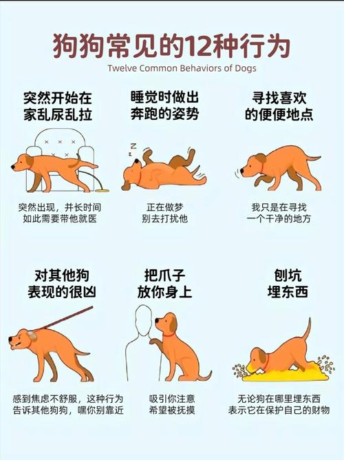 狗和狗之间能听懂对方说话吗