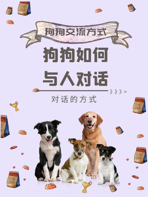 怎么听懂狗狗说话