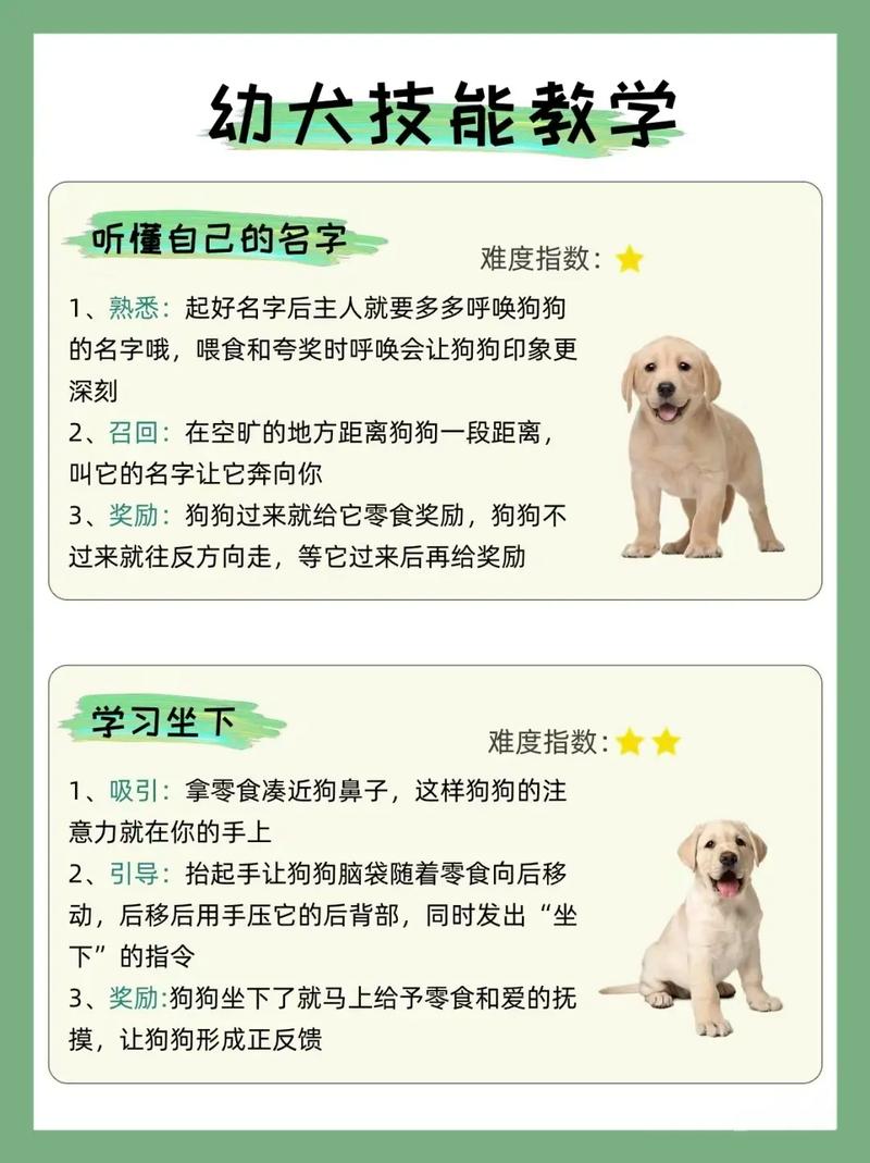 狗和狗之间能听懂对方说话吗如何交流