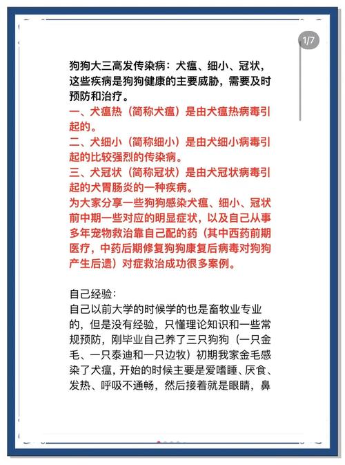 怎样防止狗狗得细小