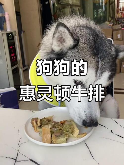 狗狗能不能吃人吃的牛排?