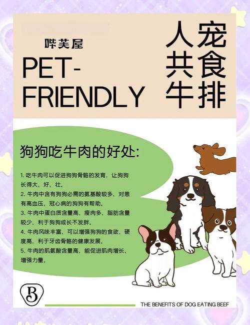 牛排套餐给狗狗吃怎么做