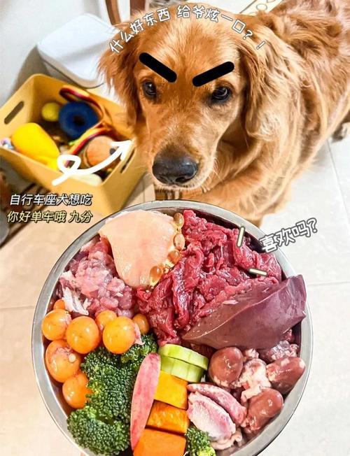 狗狗能吃牛排嘛为什么